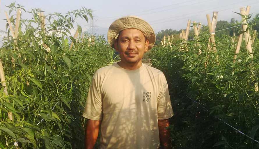 Jangan Lupakan Petani di Tengah Wabah Covid-19