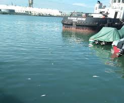 IMG-20201204-WA0002