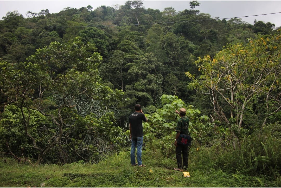 Hutan yang diusulkan sebagai hutan adat oleh Mukim Beungga di Kecamatan Tangse, Pidie