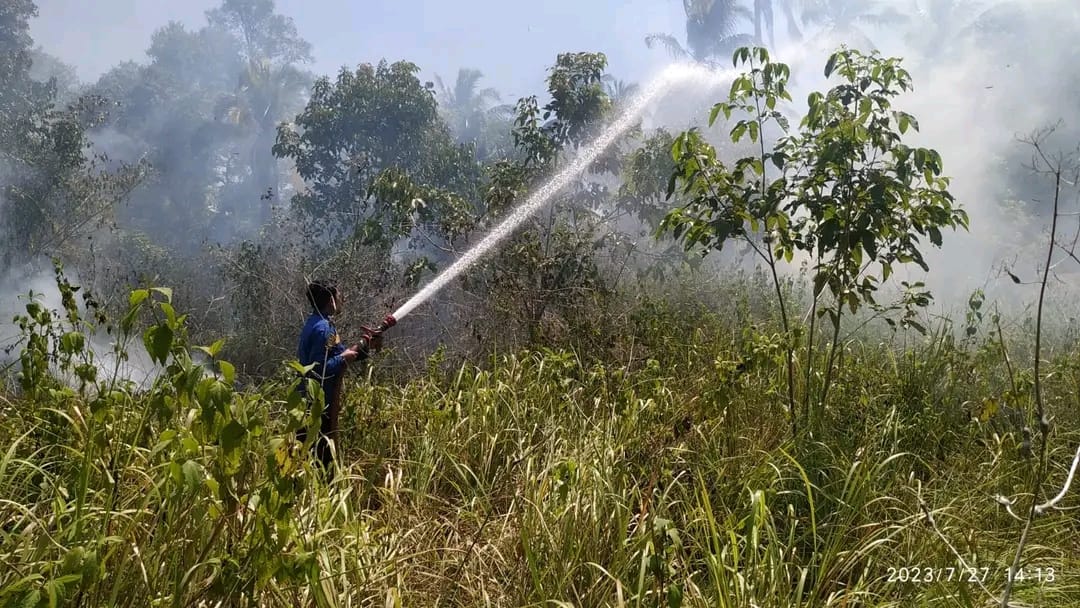 Kasus kebakaran hutan dan lahan terjadi sebanyak 84 kali di wilayah Kabupaten Aceh Besar hingga 27 Juli 2023