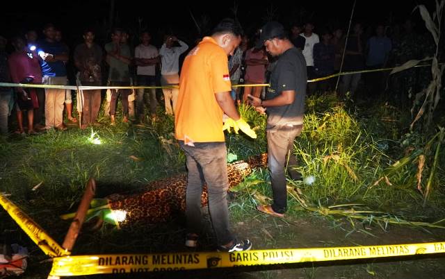Tim INAFIS Satreskrim Polres Aceh Timur melakukan identifikasi petani Aceh Utara yang ditemukan meninggal dunia kesetrum listrik di kebun jagung, Gampong Pantee Labu, Kecamatan Pantee Bidari