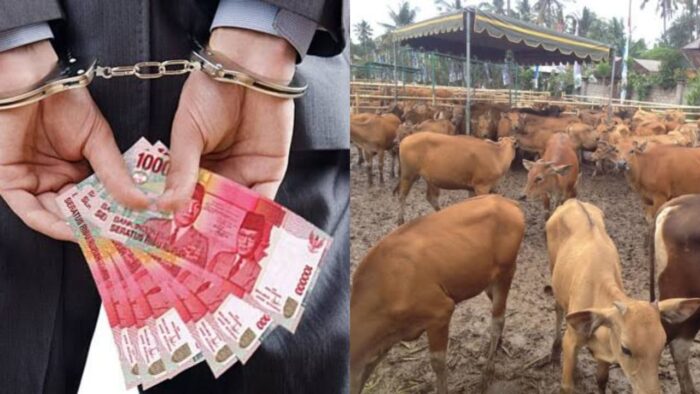 Penyidik Kejati Aceh menetapkan 3 tersangka korupsi pengadaan 200 ekor sapi pada Dinas Pertanian Aceh Tenggara Tahun 2019 bersumber dari Dana Otonomi Khusus