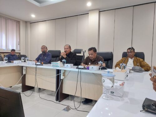 General Manager PT PLN Wilayah Aceh Parulian Noviandri saat menyampaikan pemaparan pada kegiatan media gathering berlangsung di Unit Pelaksana Pengatur Beban (UP2B) Sumbagut, Selasa (3/10/2023)