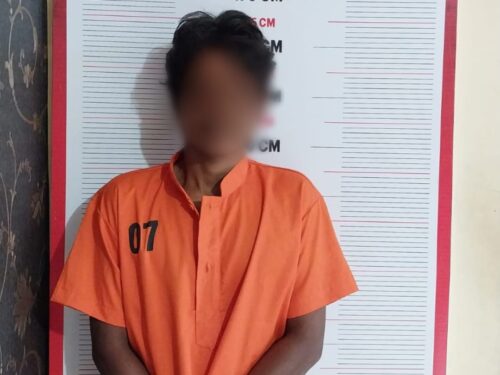 Seorang pria MY (41), warga Dusun Lembah Jaya Desa Krueng Sikajang Kecamatan Manyak Payed, Aceh Tamiang diringkus Satreskrim Polres Langsa karena diduga melakukan pemerkosaan anak di bawah umur