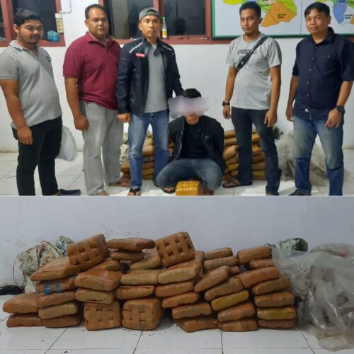 Intel TNI Kodim 0113/Gayo Lues menggagalkan transaksi narkotika jenis ganja 100 kg dan menangkap pelaku di Jalan Lintas Blangkejeren - Kutacane, Desa Agusen Kecamatan Blangkejeren