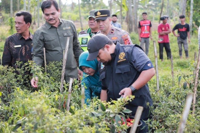 Pj Bupati Aceh Besar Muhammad Iswanto bersama Pj Ketua TP PKK Aceh Besar Cut Rezky Handayani didampingi Kadistan Aceh Besar Jakfar melakukan panen cabai merah di Gampong Leupung Bruek, Kecamatan Kuta Cot Glie, Jum'at (12/1/2024)