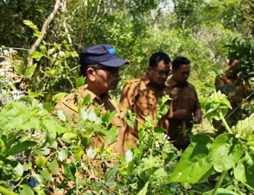 Kadis Sosial Aceh Muslem Yacob menelusuri aset tanah dan bangunan milik dinas yang terbengkalai akibat tsunami tahun 2004 di Desa Meunasah Lambaro, Mukim Lampu'uk, Kecamatan Lhoknga, Aceh Besar, Senin (22/1)