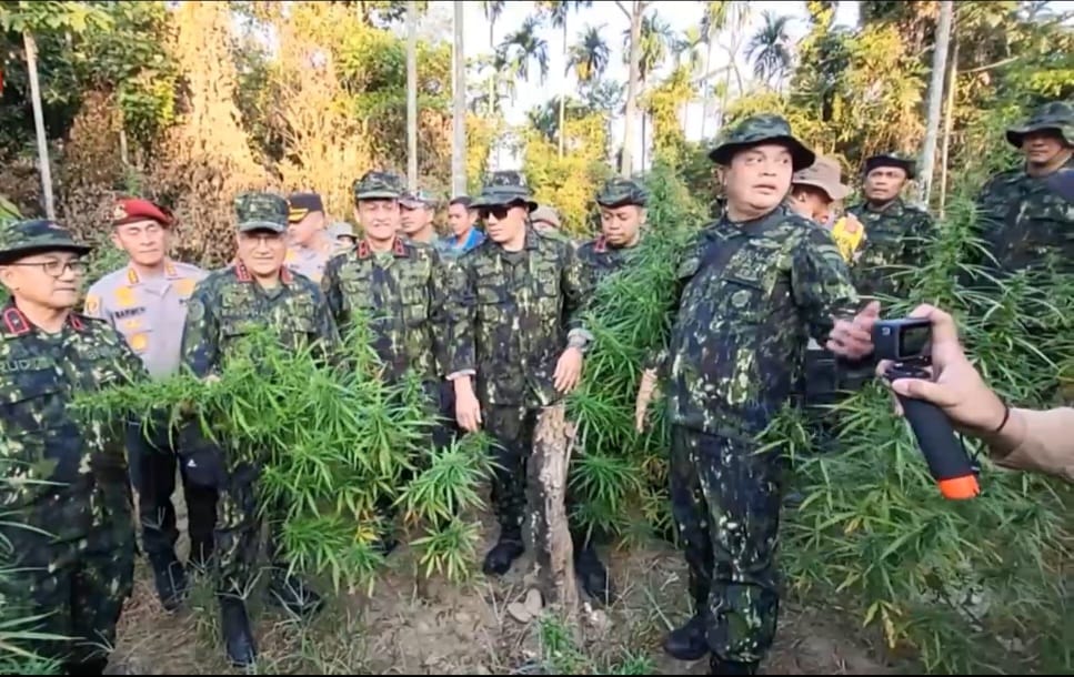 Aparat gabungan dari BNN RI dan Polda Aceh memusnahkan puluhan ribu batang tanaman ganja di ladang dalam kawasan perbukitan Gampong Teupin Reusep Kecamatan Sawang, Aceh Utara, Selasa (23/1/2024)