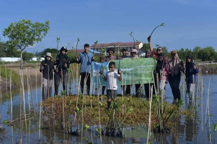 Forum Jurnalis Lingkungan (FJL) Aceh, menggelar aksi tanam mangrove di Pesisir Pantai Lampulo dalam memperingati Hari Lingkungan Sedunia yang jatuh setiap 5 Juni. Foto: Istimewa