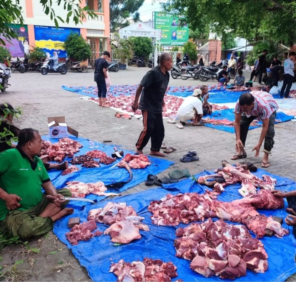 Keluarga Besar Kantor Kemenag Aceh Besar menyembelih 147 ekor hewan kurban pada Hari Raya Idul Adha 1445 Hijriah. Foto: Istimewa