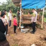 Lokasi dua security perkebunan sawit PT Bumi Flora disambar petir di Desa Alue Lhok, Kecamatan Idi Tunong, Aceh Timur, Ahad (28/7/2024). (Foto: For Infoaceh.net)