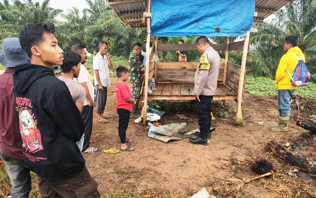 Lokasi dua security perkebunan sawit PT Bumi Flora disambar petir di Desa Alue Lhok, Kecamatan Idi Tunong, Aceh Timur, Ahad (28/7/2024). (Foto: For Infoaceh.net)