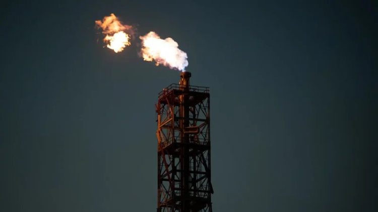 Prabowo Bakal Tambah Impor LPG dan Minyak AS untuk “Ambil Hati” Trump