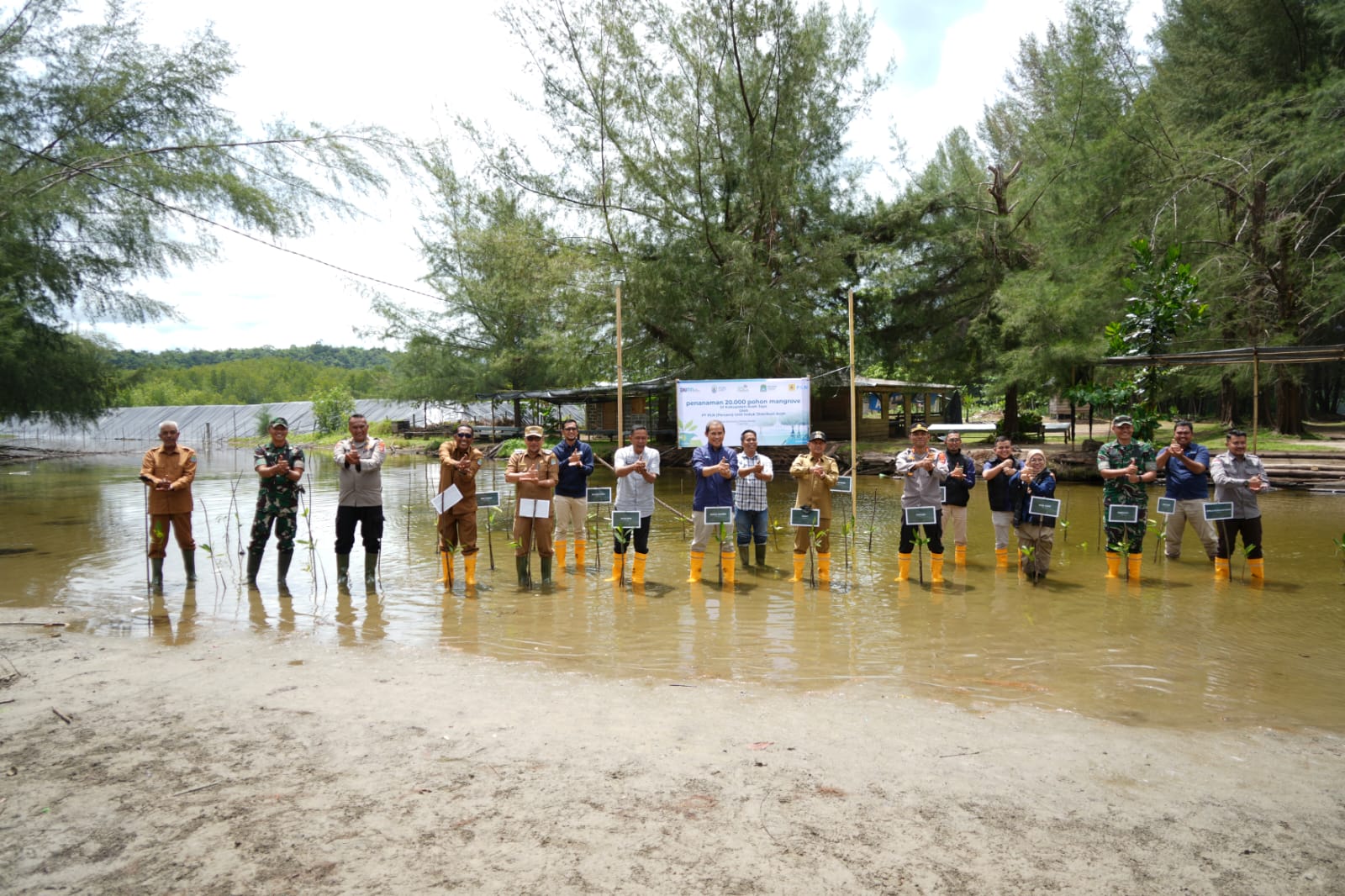 PT PLN Unit Induk Distribusi Aceh melalui program TJSL menanam sebanyak 20.000 pohon mangrove tesebar di Kabupaten Aceh Jaya. (Foto: Dok. PLN Aceh)
