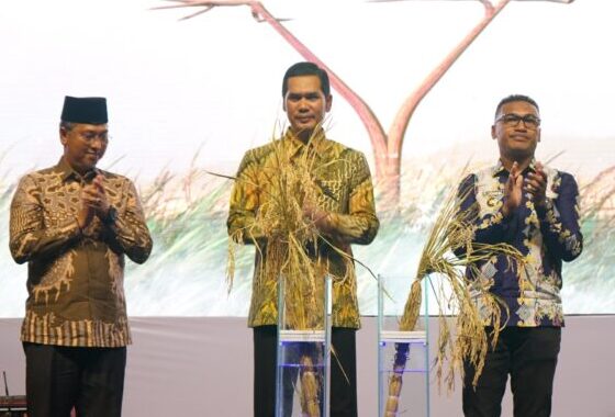 Plt. Sekda Aceh M Nasir Syamaun didampingi Bupati Abdya Safaruddin membuka Gelar TTG XXVI Provinsi Aceh di Lapangan Pulau Kayu, Susoh, Aceh Barat Daya, Rabu malam, 28 Mei 2025
