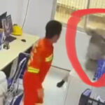 Viral Karyawan PT IWIP Tikam 2 Bos China Gegara Di-SP3, Pegawai Lain Syok!