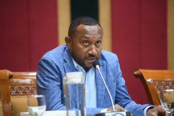 Anggota DPR RI dari Dapil Papua, Yan Permenas Mandenas