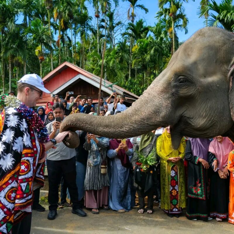 Duta Besar Inggris untuk Indonesia, Dominic Jermey didampingi Menteri Kehutanan Raja Juli Antoni meninjau progres program Inisiatif Konservasi Gajah Peusangan di Kampung Karang Ampar, Kecamatan Ketol, Aceh Tengah Kamis (19/6). (Foto: For Infoaceh.net)