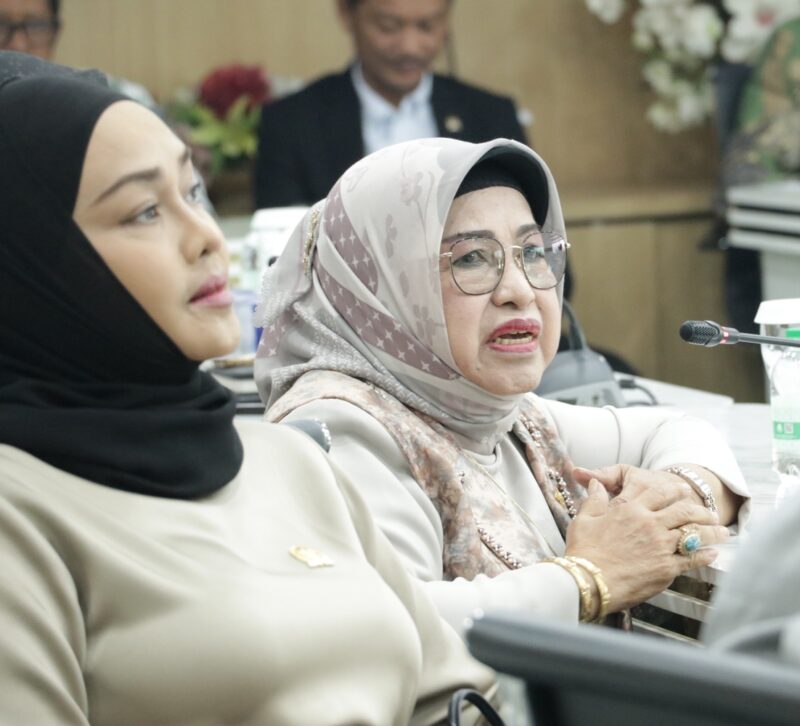 Anggota Komisi XIII DPR RI, Anisah Syakur,