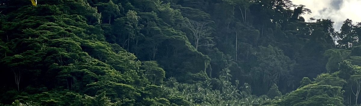 Raja Ampat Dirusak Perlahan