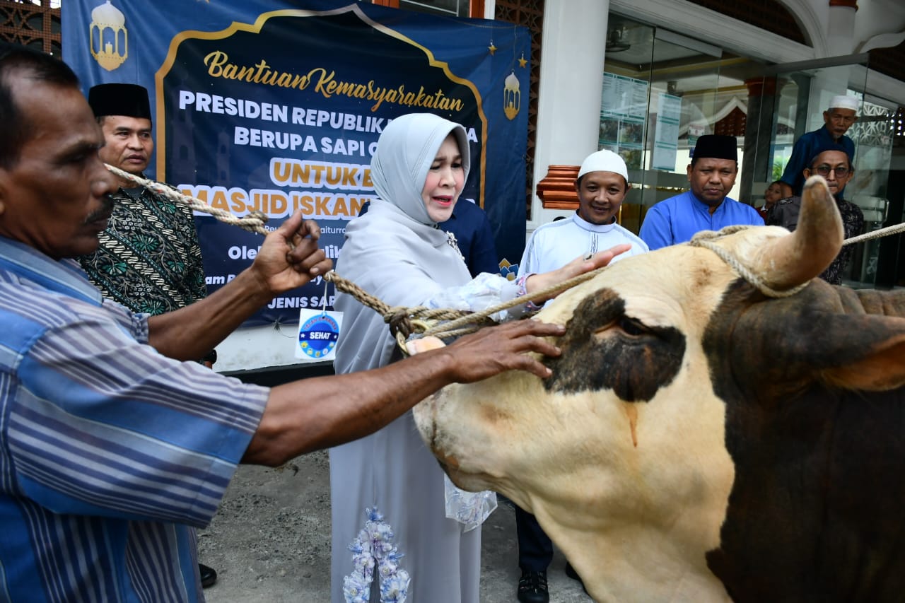 Wali Kota Banda Aceh Illiza Sa’aduddin Djamal menyerahkan sapi kurban Presiden Prabowo Subianto kepada BKM Iskandar Muda Gampong Peuniti, Sabtu (7/6). (Foto: For Infoaceh.net)