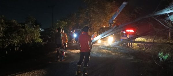 Angin kencang yang melanda Aceh Besar menjelang magrib tadi, Selasa (10/6) membuat pohon tumbang menimpa kabel listrik di sejumlah titik, salah satunya di Krueng Barona Jaya. (Foto: Ist)