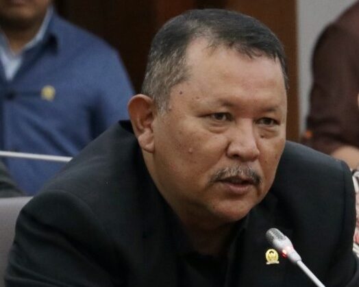 Anggota Komisi V DPR RI, Irmawan