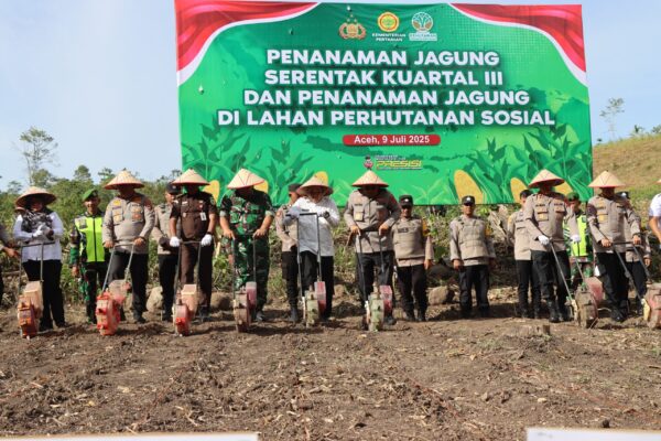 Polda Aceh mengerahkan ratusan alsintan dalam kegiatan penanaman jagung serentak kuartal III, di Desa Suka Damai, Kecamatan Lembah Seulawah, Aceh Besar, Rabu, 9 Juli 2025. (Foto: Ist)