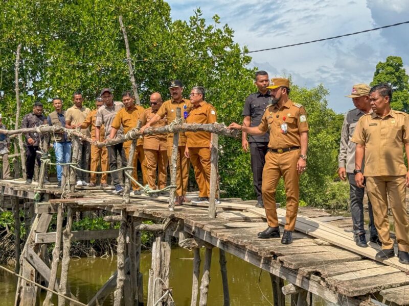 Bupati Aceh Timur Iskandar Usman Al-Farlaky meninjau dua jembatan rusak yang menjadi akses vital masyarakat di Gampong Seunebok Aceh menuju Bale Buya, serta jembatan di kawasan Seneubok Peusangan - Dama Tutong. (Foto: Ist)
