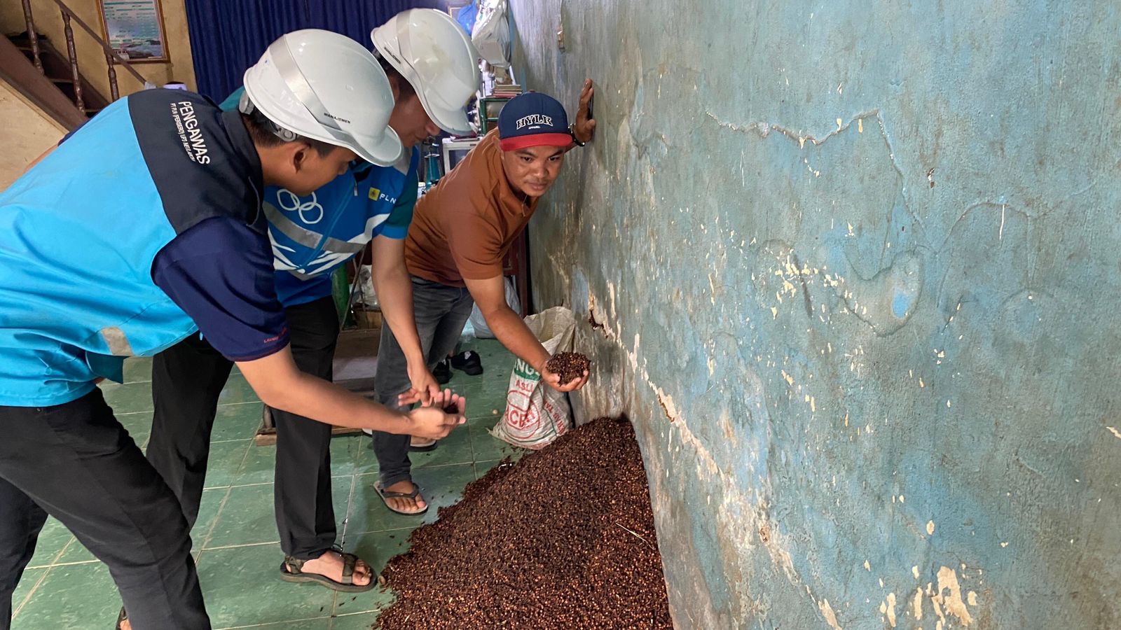 PLN Dorong Produktivitas Petani Cengkeh Simeulue Lewat Listrik Andal