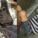 Kejanggalan Penemuan Kerangka Manusia Dalam Pohon Aren, Posisi Kepala di Bawah, Celana Terbalik