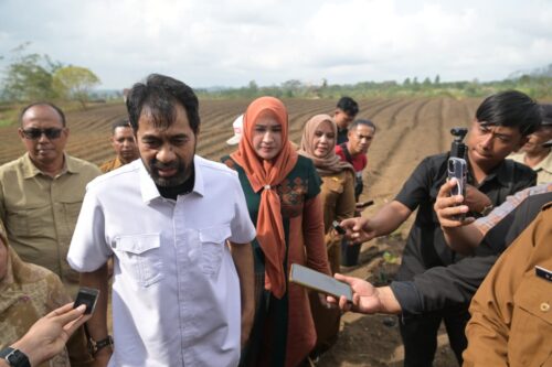 Gubernur Aceh Muzakir Manaf atau Mualem berkomitmen mendukung penuh petani cabai di dataran tinggi Gayo sebagai bagian dari upaya pengendalian inflasi. (Foto: Ist)