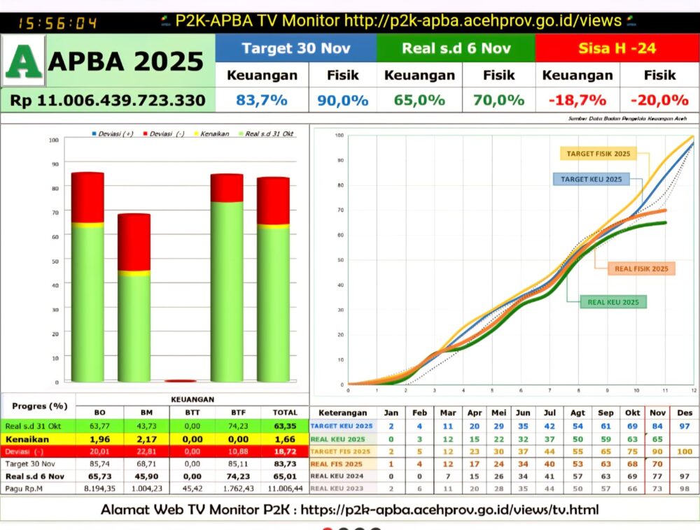 Realisasi APBA 2025 senilai Rp11 triliun masih rendah hingga awal November. (Foto: Ist)