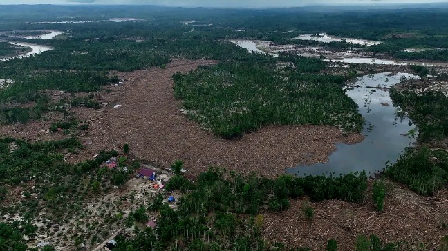 Bencana di Sumatera bukanlah peristiwa alam biasa. Ini adalah bencana ekosistem hasil akumulasi kesalahan tata kelola ruang, perusakan DAS, ekspansi perkebunan sawit dan pertambangan serta lemahnya penegakan hukum lingkungan. (Foto: Ist) 