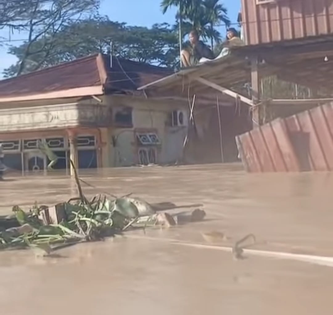 Situasi pascabencana banjir bandang di Kabupaten Aceh Tamiang kini semakin memprihatinkan. (Foto: Ist)