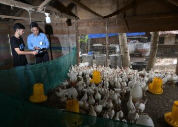 Bank Aceh Syariah Peroleh Kuota KUR Rp1,5 Triliun Tahun 2026