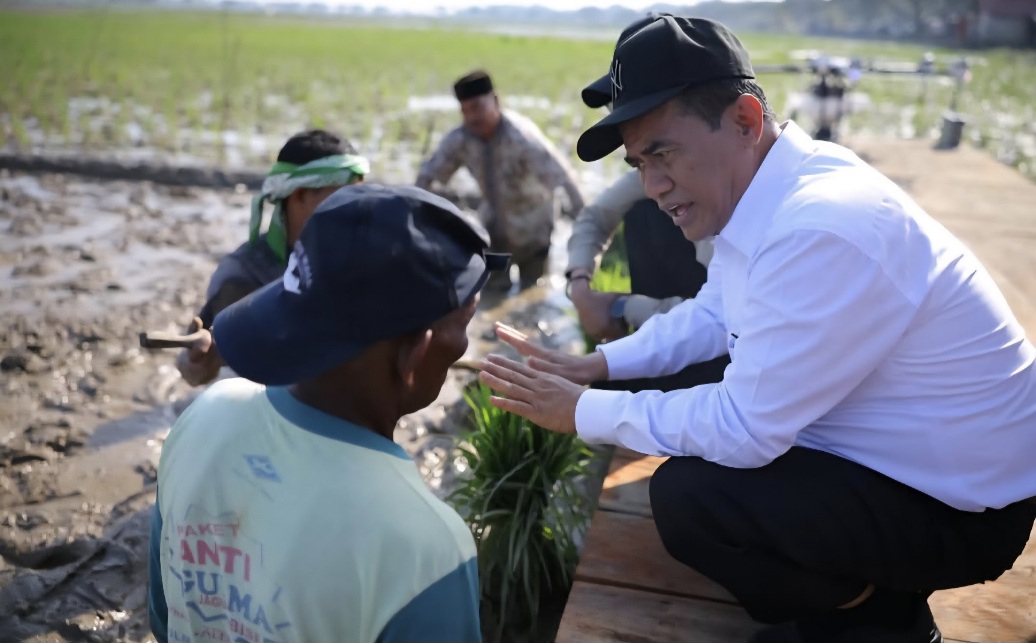 Pulihkan Sawah Rusak Akibat Banjir Aceh, Mentan Bayar Petani Lewat Skema Padat Karya
