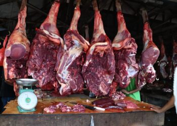 PEMA Ditugaskan Gubernur Urus Impor Daging untuk Kebutuhan Meugang Aceh