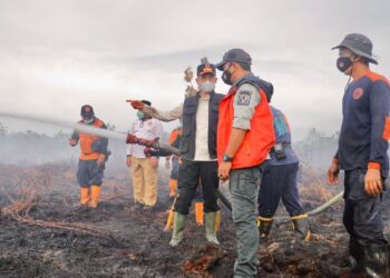 Kebakaran hutan dan lahan di Aceh Barat terus meluas dan hingga Rabu (28/1/2026) telah mencapai sekitar 50,2 hektare yang tersebar di sejumlah kecamatan. (Foto: Ist)