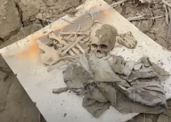 Korban banjir bandang yang telah hilang selama hampir tiga bulan ditemukan jadi tulang di atas pohon sawit di Desa Geudumbak, Kecamatan Langkahan, Aceh Utara. (Foto: Ist)