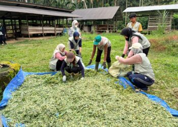 Tim pengabdian dari USK melaksanakan simulasi teknologi tepat guna melalui Program PKM Mahasiswa Berdampak untuk membantu pemulihan pascabanjir bandang di Bireuen.