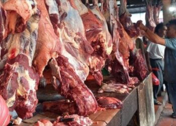 Meugang merupakan warisan budaya Aceh yang sarat nilai kebersamaan, silaturahmi dan kepedulian terhadap sesama, bukan sekadar tradisi konsumsi daging. (Foto: Ist)