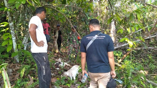 Tiga ekor Kambing milik Syahril (32), warga Gampong Peunaron Lama, Kecamatan Peunaron, Aceh Timur dimangsa Harimau
