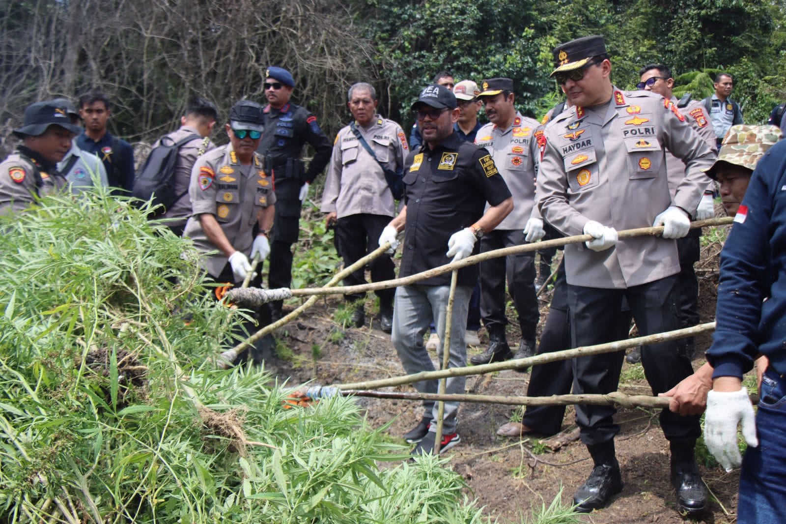 Kapolda Aceh Irjen Pol Ahmad Haydar didampingi Anggota Komisi III DPR RI M Nasir Djamil memusnahkan 11 hektar ladang ganja di dua lokasi terpisah di pegunungan Desa Lamkabeu, Kecamatan Seulimuem, Aceh Besar, Rabu (8/3)