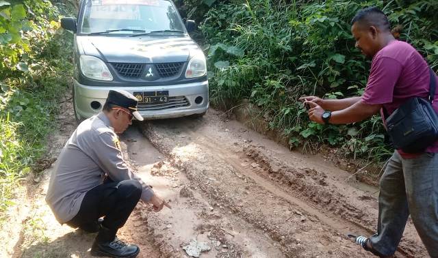 Jejak tapak kaki Harimau ditemukan di area kebun sawit warga Dusun CV.9, Desa Panton Rayeuk T, Kecamatan Banda Alam, Aceh Timur