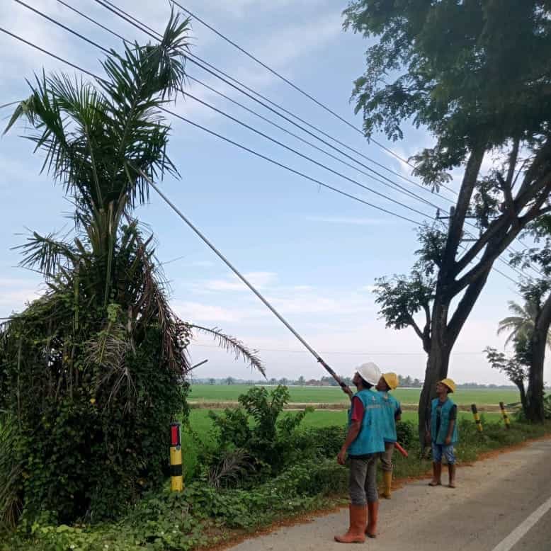 PLN ULP Idi, Aceh Timur melakukan sosialisasi bahaya pohon yang sudah dekat dengan jaringan listrik