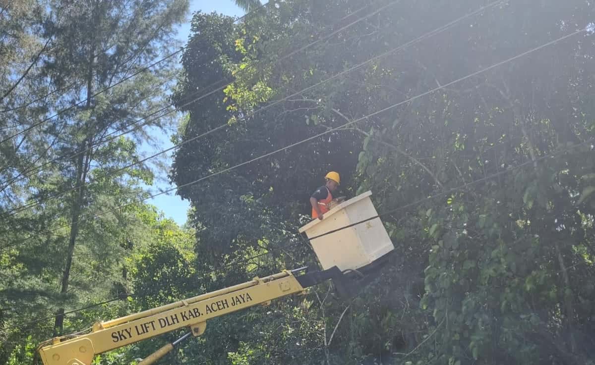 PLN ULP Calang melakukan gerebek penyulang di beberapa titik krusial jaringan PLN yang tersebar di Kecamatan Setia Bakti, Aceh Jaya, Senin (29/5)