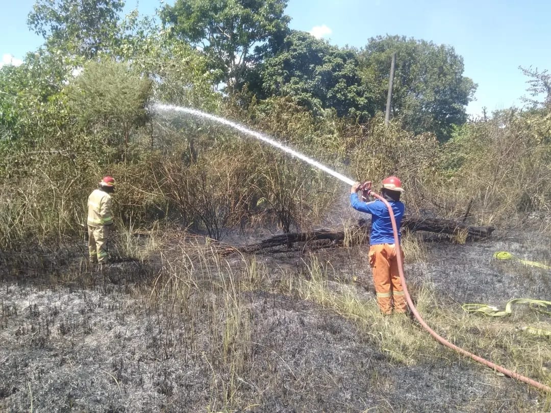 Kebakaran lahan melanda kawasan Alue Glong, Kecamatan Seulimum, Aceh Besar, pada Senin siang (19/6)