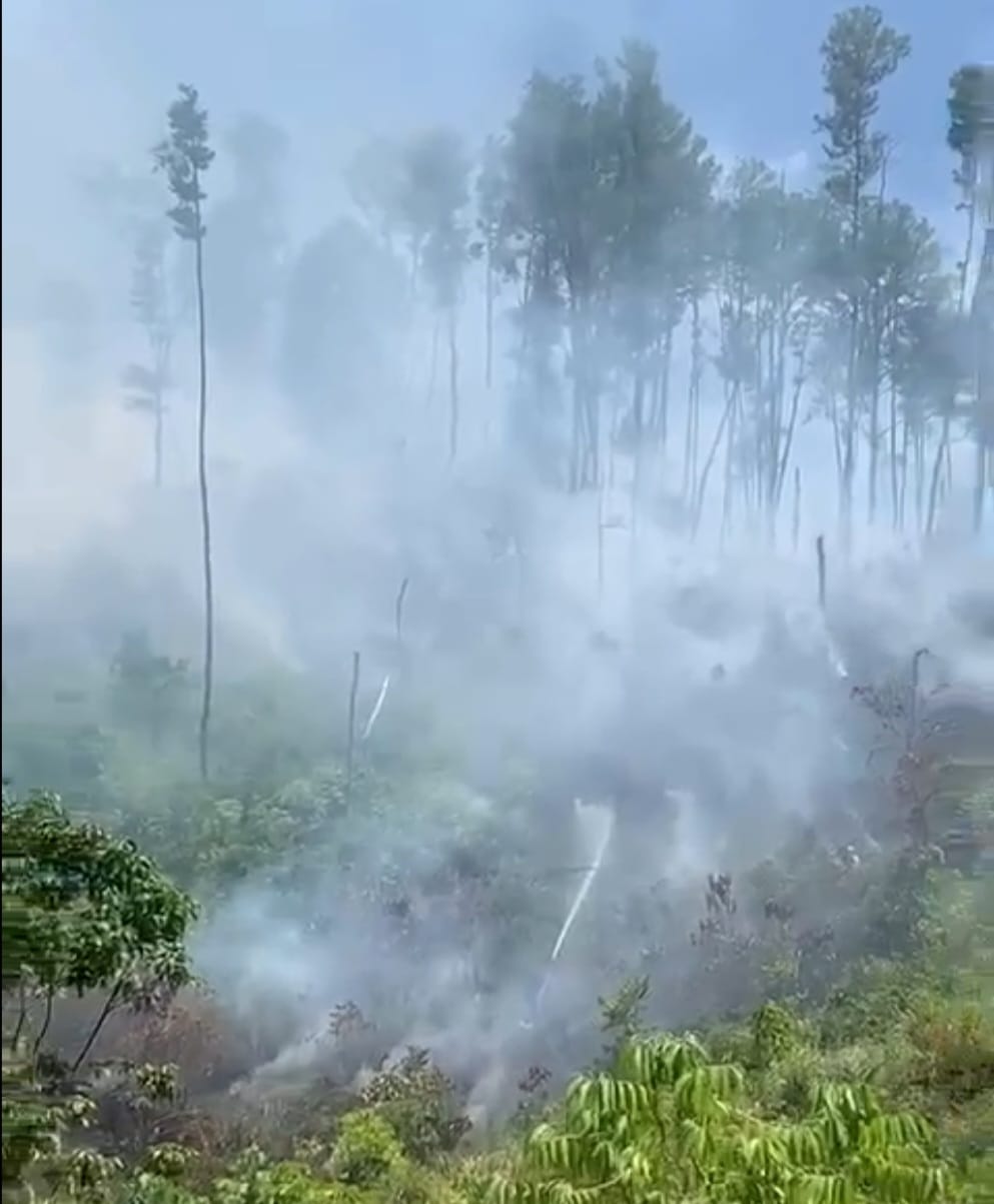 Sekitar dua hektar lahan di perbukitan kawasan Seunapet Gampong Lamtamot Kecamatan Lembah Seulawah, Aceh besar terbakar pada Sabtu siang (15/7)