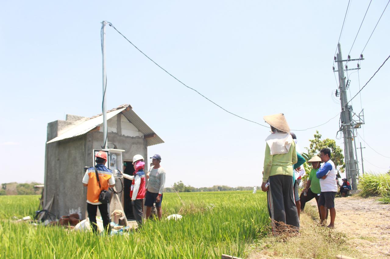 Semester I tahun 2023, realisasi program Elektrifikasi Pertanian atau Electrifying Agriculture (EA) PT PLN (Persero) tumbuh 22,28 persen